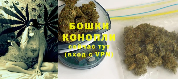 первитин Богданович