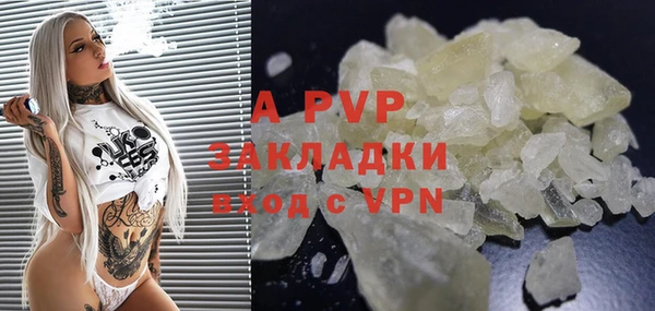 первитин Богданович