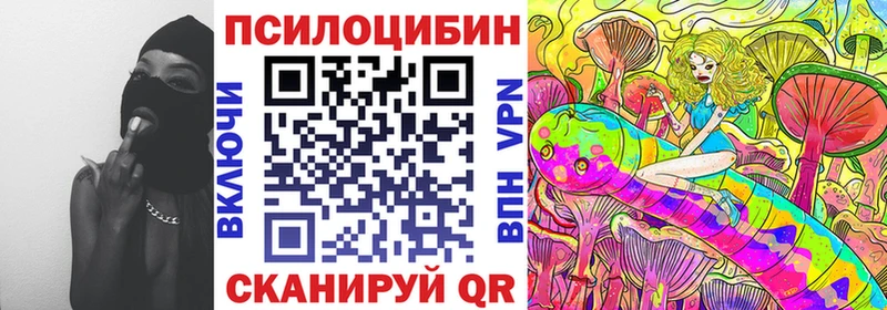 купить  сайты  Шуя  Псилоцибиновые грибы GOLDEN TEACHER 
